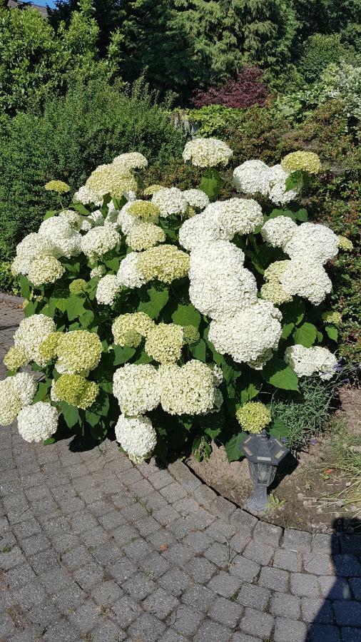 BnbMarlies Oorsbeek Exterior foto